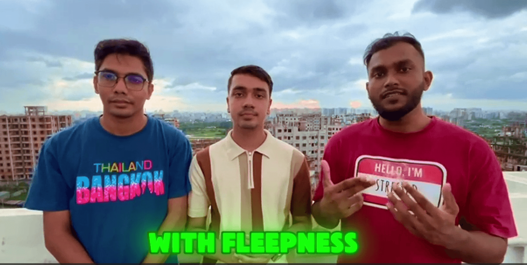 About Fleepness Video